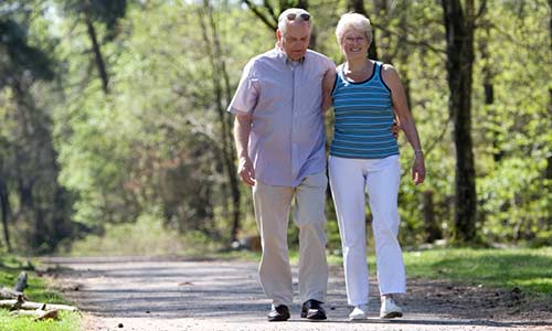 Couple walking along a path in a forest