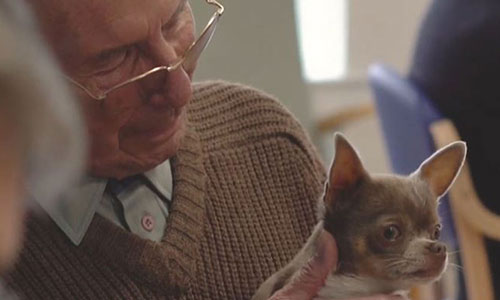 Older man with glasses and moustache holding small dog